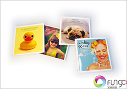 畫(huà)冊(cè)印刷