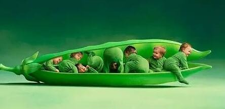 2016佛山印刷廠應如何“創(chuàng)”出生天