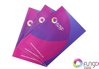 企業(yè)畫(huà)冊(cè)印刷 企業(yè)畫(huà)冊(cè)印刷